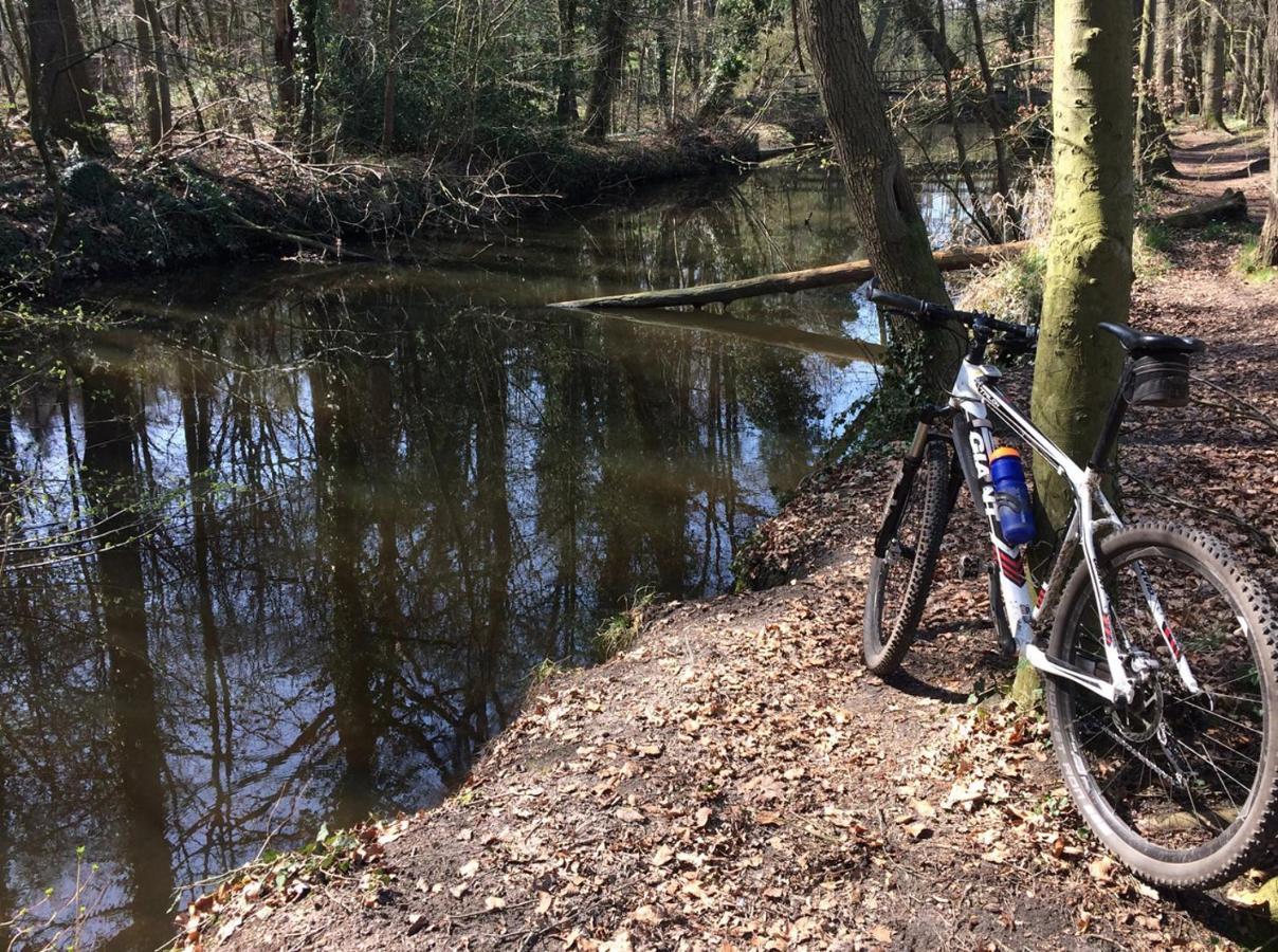 Vakantiewoning De Kei. Modern Achterhoeks Genot Lichtenvoorde Eksteriør bilde